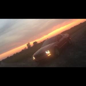 Meet your Posher, Daisy